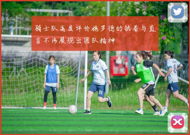 骑士队高度评价施罗德的执着与直言不讳展现出团队精神