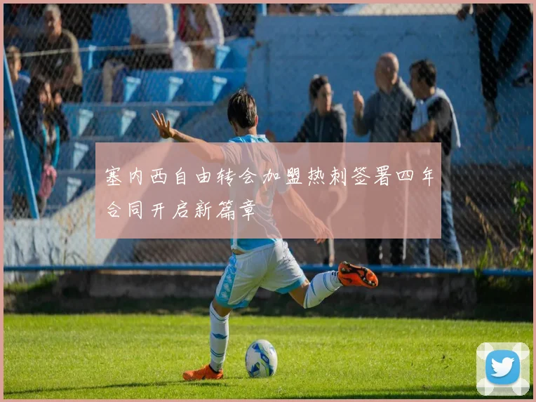 塞内西自由转会加盟热刺签署四年合同开启新篇章