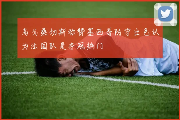 乌戈桑切斯称赞墨西哥防守出色认为法国队是夺冠热门