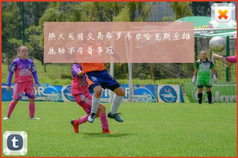 热火或将交易希罗韦尔哈克斯至雄鹿助字母哥争冠